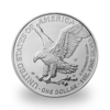 1 Unze Silber American Eagle - Monsterbox mit 500 Stück - 2023 - US Mint