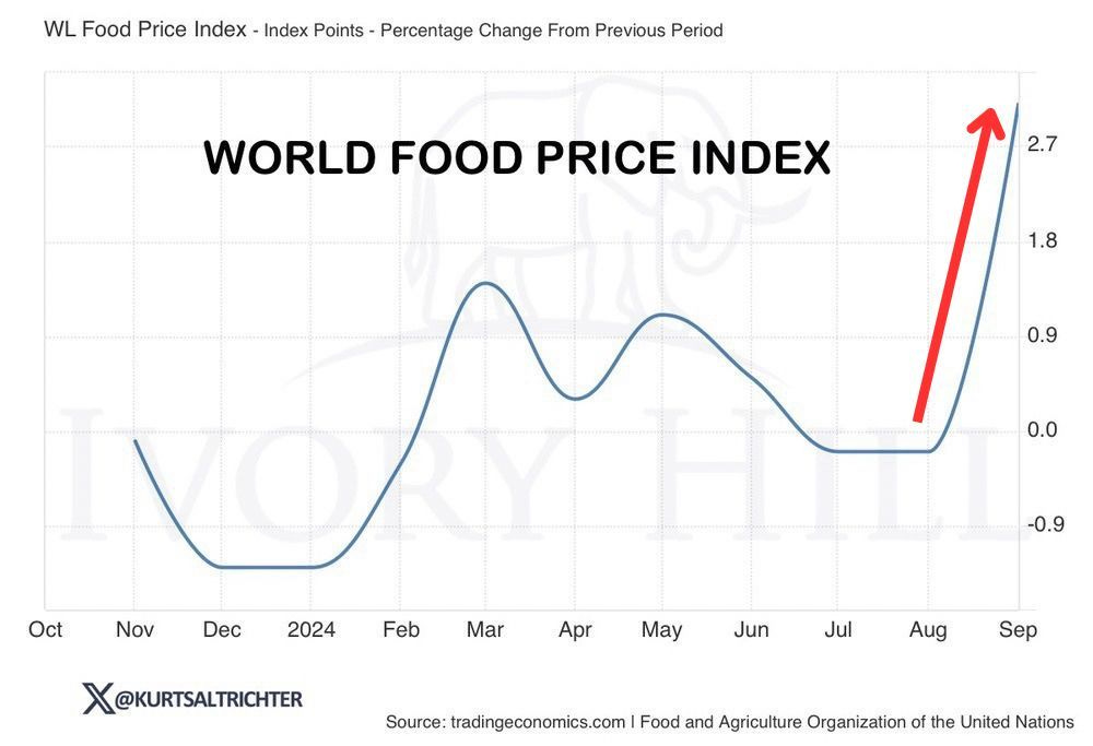 Der Index der Weltmarktpreise 